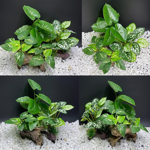 Smoothedo-Pets Aquarium Decor, 3pcs Betta Silk Leaf Pad Hammock and Artificial Driftwood Cave