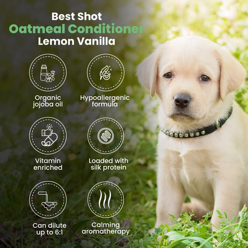 Best Shot Scentament Spa Oatmeal Protein Conditioner - Skin Care Product for Dogs & Cats, Hypoallergenic, Lemon