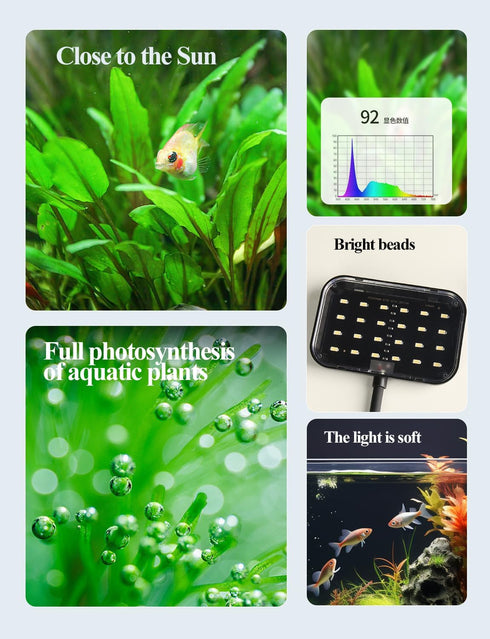 Boxtech 8W Small Aquarium Clip On LED Light, USB Full Spectrum Planted Light for 3 to 6 Gallon Tanks