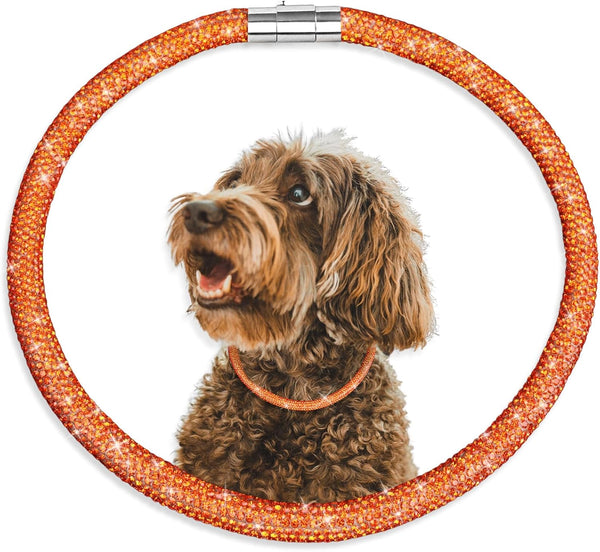 Stylish Luxurious Diamond Dog Collar, Magnetically Absorbent Clasp, Full Diamond Design for Wedding and Everyday