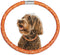 Stylish Luxurious Diamond Dog Collar, Magnetically Absorbent Clasp, Full Diamond Design for Wedding and Everyday