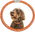Stylish Luxurious Diamond Dog Collar, Magnetically Absorbent Clasp, Full Diamond Design for Wedding and Everyday
