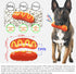 Hot Dog Squeaky Dog Toy, Interactive Rubber Chew Toy for Aggressive Chewers, Humorous Gift for Dog Lovers
