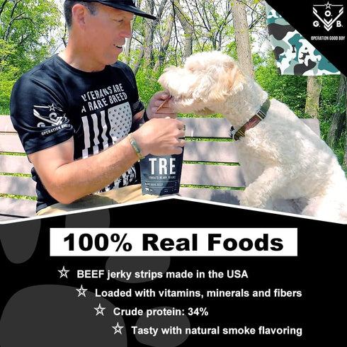Operation Good Boy Beef Jerky Dog Treats High-Protein Strips, Natural Farm-Raised Meat Training Treats for Medium