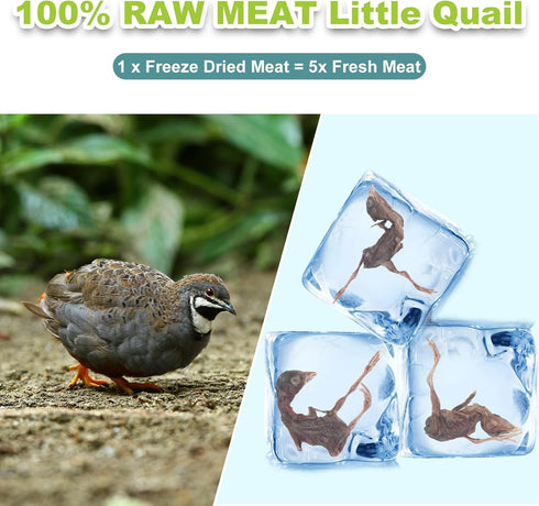 Freeze Dried Dogs Cats Treats, Little Quail Natural Dog Treats, Cat Delicious Snacks, Healthy Easy Digestion Pet Food