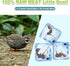 Freeze Dried Dogs Cats Treats, Little Quail Natural Dog Treats, Cat Delicious Snacks, Healthy Easy Digestion Pet Food