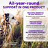 20 1 Immunity, 70 in Dog Multivitamin with Glucosamine - Chewable Dog Vitamins and Supplements - Senior & Puppy