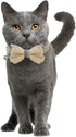 KUDES 2 Pack Cat Collars Set, Breakaway Cat Collar with Cute Bow Tie and Bell, Adjustable for Kitten and Puppies