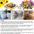 VICTHY 100pcs Cat Nail Caps, Cat Claw Covers with Adhesive Glue and Applicators (S)