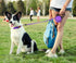Taglory Retractable Dog Leash, 16ft No Tangle for Medium and Large Dogs up to 100 lbs, One-Handed Brake, Lock