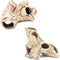 ALEGI Aquarium Decoration Rock Caves, Safe Hideaway for Shrimp, Cichlid, Betta Fish (TreeStumpL+S)