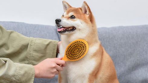 Burt's Bees for Pets Double Sided Brush for Large Dogs, 2-in-1 Grooming Brush Made from Recycled Plastics