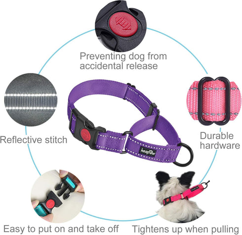 haapaw 2 Packs Martingale Dog Collar with Reflective Quick Release Buckle for Small Medium Large Dogs (Medium, Purple)