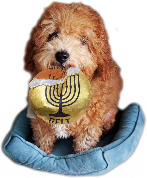 Hanukkah Gelt Coin Dog Toy, Chewdaica Oxford Material, Judaica Gifts for Dog Owners, Chanukah Décor
