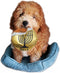 Hanukkah Gelt Coin Dog Toy, Chewdaica Oxford Material, Judaica Gifts for Dog Owners, Chanukah Décor