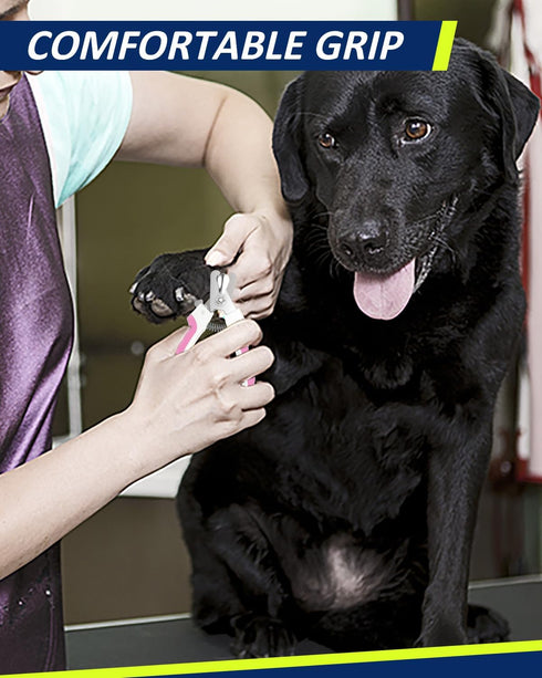 U10.1, Trimmer WePet Dog Nail Clippers Dog Nail Large Breed with Quick Sensor, Razor Sharp Blade Professional Pet Nail