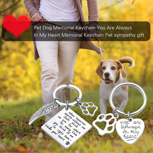 Oubaka Pet Memorial Keychain Gift, Remembrance Keychain for Pet Loss Sympathy
