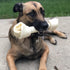 Pet Factory 12" American Beefhide Knotted Bone Dog Chew Treat - Chicken Flavor, 1 Count/1 Pack