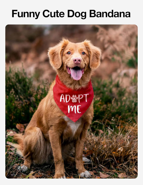 Adopt Me Dog Bandana - Funny Red Dog Scarf Accessories for Adoption Announcement, Pet Lover Gifts for Christmas