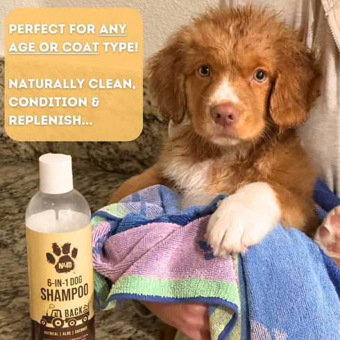 Natural Pet Shampoo No. 40 Premium 6 in 1 Oatmeal Shampoo for Dogs - Moisturize, Deodorize & Soothe Sensitive Skin