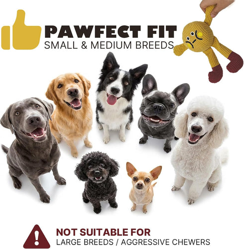 Squeaky Dog Chew Toy Teething Interactive Plush Stuffed Toys with Squeaker Crinkle Paper for Small Medium Breed Tough
