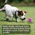 Jalousie 4 Inch Latex Dog Squeaky Toys - Soft Rubber Puppy Chew Toy for Fetch Play (6 Pack Animal Medium)