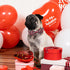 Valentine's Day Adjustable Dog Collar for Small Dogs with Bow Tie, Red&Black Love Heart Collar for Medium Large Dogs,