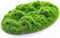 Penn-Plax Aqua-Flora Living Resin Decoration with Embedded Glosso Plant Seeds for Freshwater Fish