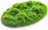 Penn-Plax Aqua-Flora Living Resin Decoration with Embedded Glosso Plant Seeds for Freshwater Fish
