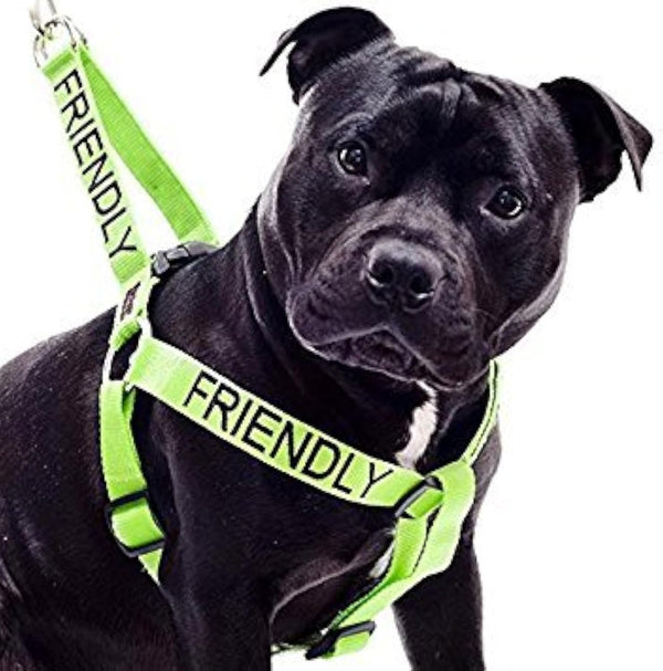 Friendly Green Colour Coded Non Pull Dog Harness - L-XL, Prevents Accidents by Warning Others