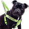 Friendly Green Colour Coded Non Pull Dog Harness - L-XL, Prevents Accidents by Warning Others