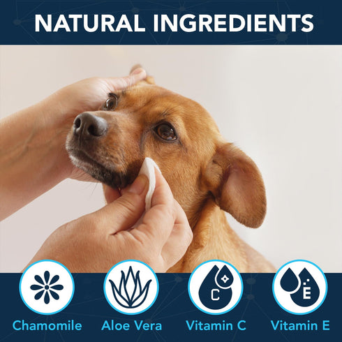 NOVEHA 100 Dog Eye Wipes, Plant-Based Eye Wipes for Dogs to Remove Eye Debris, Tear Stains & Discharge (100 Count)