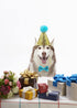 Christmas Pet Party Jazz Hat and Blingbling Bow Tie Breakaway Collar Set - Adjustable Headband for Small Dogs, Cats (01