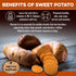 BRUTUS & BARNABY USA Sweet Potato Dog Treats - 8 oz Crunchy Grain Free Cinnamon Apple Sticks for Positive Gut Health