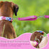 Short Dog Traffic Leash, Dog Training Tab for Small Dogs, Pet Leashes for Large Medium Dogs (Blue and Green)