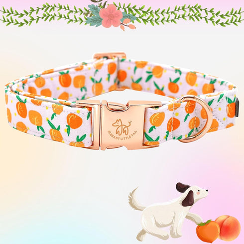Elegant little tail Easter Dog Collar, Adjustable Peach Print for Small Dogs, Orange Collar for Girl or Boy
