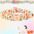 Elegant little tail Easter Dog Collar, Adjustable Peach Print for Small Dogs, Orange Collar for Girl or Boy