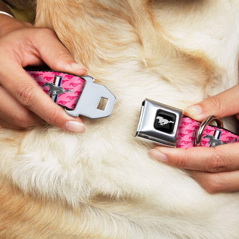 Dog Collar Seatbelt Buckle Pink Logo Repeat Ford Mustang Bars, 15 to 26 Inches, 1.0 Inch Wide