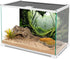 AWERT 72x24 inches Polyester Tropical Rainforest Background, Stream Green Huge Tree Reptile Habitat Decor