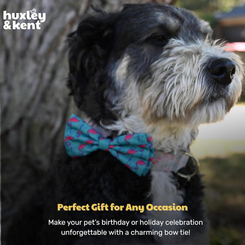 Huxley & Kent Pet Bow Tie for Dogs & Cats - Adjustable Collar Accessory for Holidays & Celebrations, Flamingo, Small