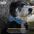 Huxley & Kent Pet Bow Tie for Dogs & Cats - Adjustable Collar Accessory for Holidays & Celebrations, Flamingo, Small