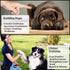 SunGrow Dog Clickers, 2.4x1.8 Inches, Colorful Training Tools for Puppy or Cat, 4 Pack with Black Wrist Bands