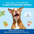 2 1 Barkbox Dog Toy in Interactive, Plush Exterior with Squeaker & Crinkle Material, Tearable Dog Toy with Squeaky