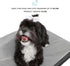Pet Mattress for Small to Medium Dogs and Cats, 2-in-1 Cool Gel Infused with High Density Foam, Anti-Slip Bed, Ash Grey