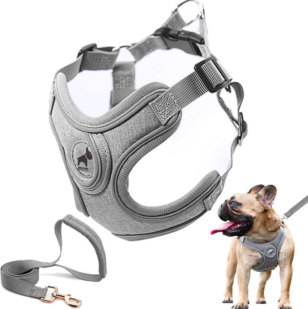 Dog Harness with Leash Set, No Pull Harnesses with Breathable Padded for Small Dogs Training and Running (XS, Gray)