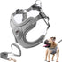 Dog Harness with Leash Set, No Pull Harnesses with Breathable Padded for Small Dogs Training and Running (XS, Gray)