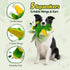 BBeary 5 (Green,10") Squeaky Dog Toys - Soft Plush Dragon Dog Toy with Squeakers & Crinkle Paper, Dog Toys for Small
