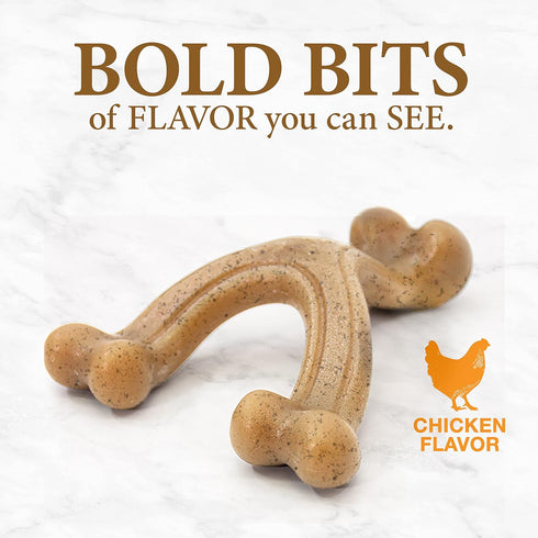 Nylabone Gourmet Style Strong Chew Wishbone Dog Toy, Chicken Flavor, Small/Regular (1 Count)