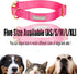 Babole Nylon Dog Collars - Red for Small Puppy Dog, 13 Colors, Adjustable Soft Comfortable Collars with Safety Metal