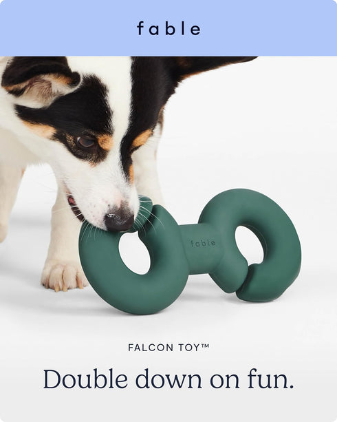 FABLE Twin Falcon Dog Tug Toy, Treat Dispensing with Multiple Cavities for Interactive & Solo Play, Non-Toxic